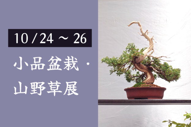 第11回小品盆栽・山野草展 | フローランテ宮崎サイト