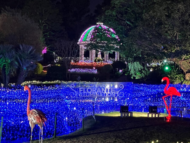 イルミネーション・フラワーガーデン2025～音楽とイルミネーションの